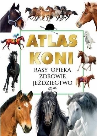 ATLAS KONI RASY OPIEKA ZDROWIE JEŹDZIECTWO ALBUM TWARDA na Arena.pl