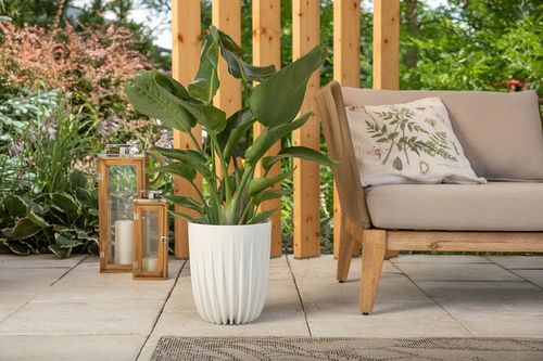 DONICZKA DONICA WKŁAD MISA KWIETNIK ZEW i WEW DUŻA MIRA 25cm x 29,7cm na Arena.pl