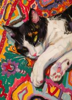 product-compare-59407748