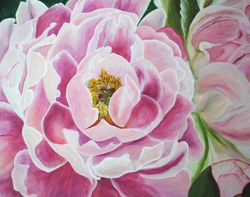 Peonie, kwiaty (60x80cm) na Arena.pl