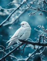 Plakat 50x65cm Perłowy Ptak