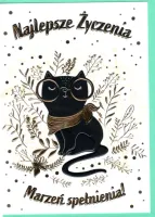 Karnet B6, Kot W Okularach