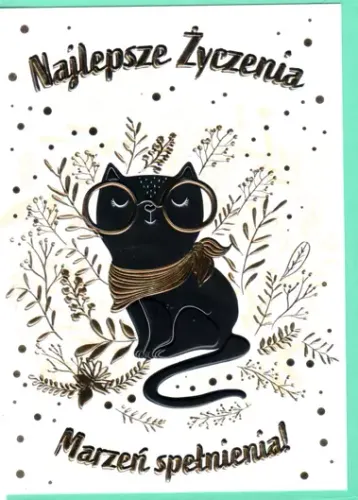 Karnet B6, Kot W Okularach na Arena.pl