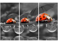 60 90CM OBRAZ 3 ELEM SPACEREK DRUK PŁÓTNO RAMA