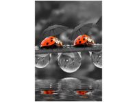 40X60CM SPACEREK OBRAZ