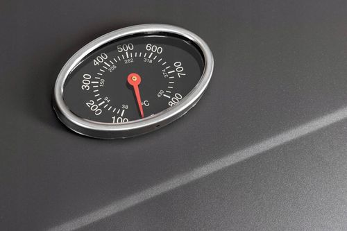 Grill węglowy ANGULAR Żeliwny Ruszt Activa - 11245C na Arena.pl