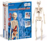 Naukowa zabawa. Ciało ludzkie mini