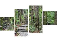 OBRAZ JAPOŃSKA ŚCIEŻKA PRZEZ LAS