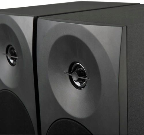 Woxter Dynamic Line 2.0 głośnik stereo RCA, kontrola basów DL-410 Black HIT na Arena.pl