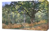 Obraz 60x40cm The Bodmer Oak, Monet Vintage do Salonu