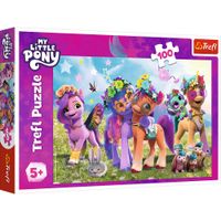 PUZZLE 100 ZABAWNE KUCYKI MY LITTLE PONY 16463
