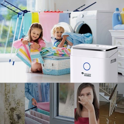 Osuszacz powietrza MYCOND Roomer Smart 25L/24h (Wi-Fi, Timer, na Arena.pl