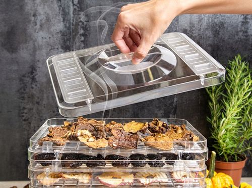 Suszarka do grzybów owoców DEHYDRATOR FIRST 240W First Austria na Arena.pl