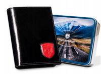 duży portfel męski bez zapięcia - peterson