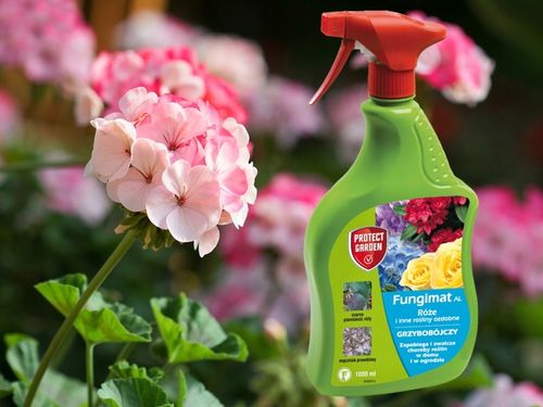 FUNGIMAT AL ŚRODEK GRZYBOBÓJCZY DO RÓŻ I ROŚLIN OZDOBNYCH 1L PROTECT GARDEN na Arena.pl