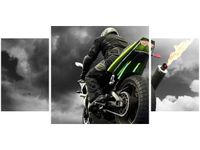 80X40CM MONSTERBIKE TRÓJ OBRAZ