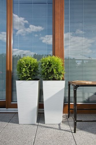 ZESTAW 2 WYSOKICH DONIC FINEZJA DŁUTO szer. 19cm/25cm BIAŁY MAT Lamela na Arena.pl