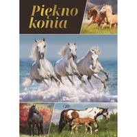 Piękno Konia. Album i Ciekawostki o Koniach dla Dzieci