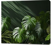 product-compare-59466930