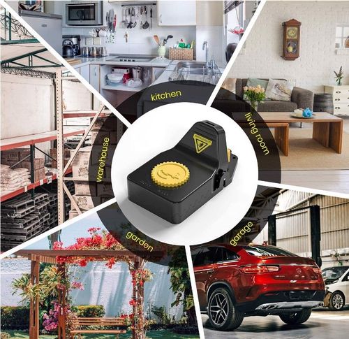 Pułapka Na Myszy I Szczury Wielokrotnego Użytku na Arena.pl