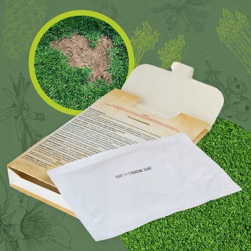 P-DRAKOL REGENERACJA USZKODZEŃ TRAWNIKA PRZEZ PĘDRAKI NICIENIE 50G TARGET na Arena.pl