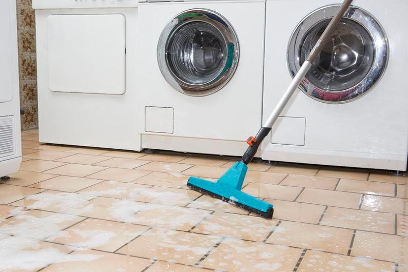 ŚCIĄGACZKA DO WODY CS - HG-03642-20 zdjęcie 2