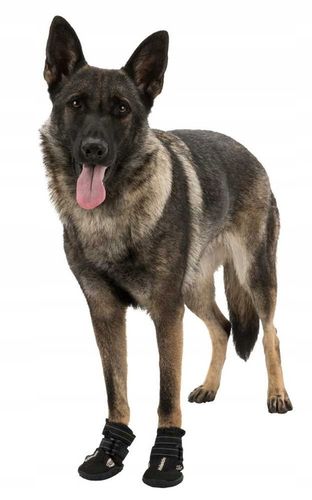 Trixie BUTY OCHRONNE Walker Active dla Psa L 2szt na Arena.pl