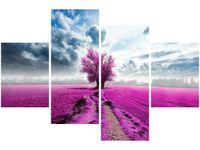 OBRAZ FIELD&TREE POLE DRZEWO KOLORY