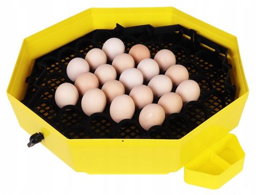 INKUBATOR CLEO 5 DTHE 60/41 JAJ WYLĘGARKA KLUJNIK TERMOMETR HIGROMETR TACA na Arena.pl