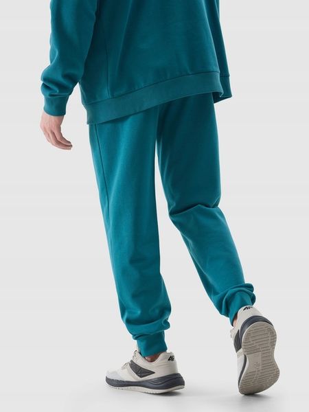 Spodnie dresowe 4F zdjęcie 3