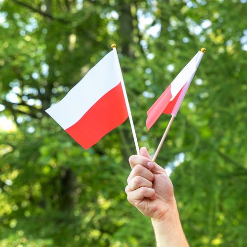 Flaga Polski z trzonkiem biało-czerwona materiałowa 14x21 cm, 10 szt. na Arena.pl