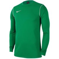Bluza Nike Dri-Fit Park 20 Crew M FJ3004-302 XL