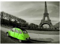 50X70CM LIMONKOWA KACZKA OBRAZ POKOJU DREWNINE