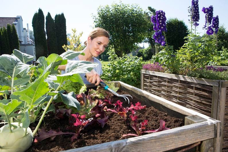 PAZURKI - HG-08957-20 zdjęcie 4