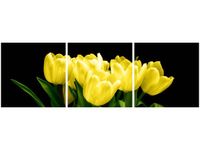 60 90CM OBRAZ 3 ELEM ŻÓŁTE TULIPANY- MARK FREETH ŚCIENNY DRUK PŁÓTNO