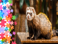 Puzzle tradycyjne Zwierzęta - Fretka