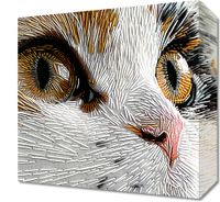 Obraz 30x30cm Nitkowany Kot