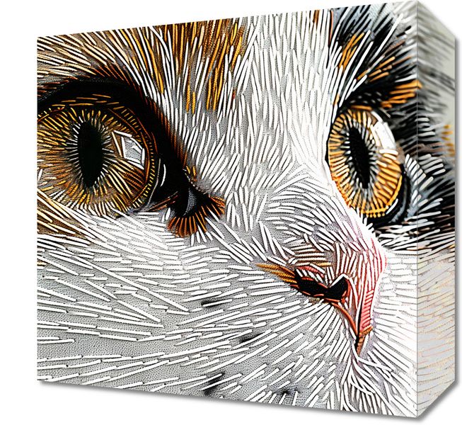 Obraz 30x30cm Nitkowany Kot zdjęcie 1