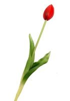 TULIPANY SILIKONOWE jak ŻYWE 38 cm TULIPAN SILIKONOWY CZERWONY