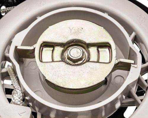 Rozrusznik z podstawą Cedrus kpl. wertykulator WR01 na Arena.pl