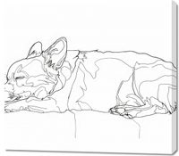 product-compare-59516871