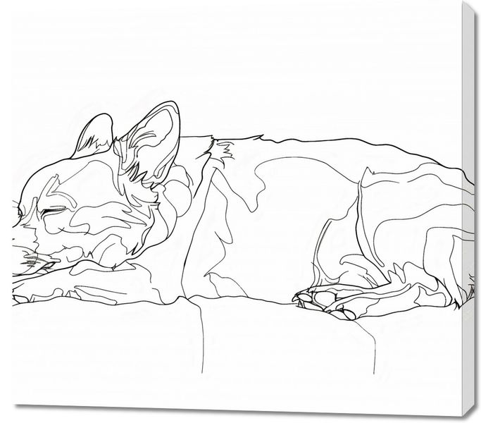 Obraz 100x90cm Śpiący Psiak zdjęcie 1