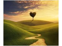 60X50CM BAJKOWA KRAINA OBRAZ ŚCIAN DREWNIANE