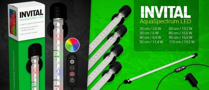 INVITAL AquaSpectrum LED 11,4W 48,5cm zdjęcie 6