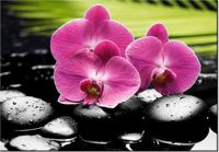 100 70CM OBRAZ PŁÓTNO STORCZYKI KAMIENIACH PŁÓTNO RAMA