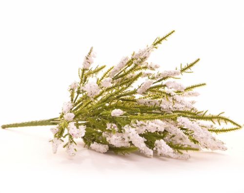 Wrzos bukiet biały na Arena.pl