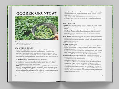 Książka infouprawa JAK UPRAWIAĆ WARZYWA + Kalendarz Warzywnika 2024 na Arena.pl