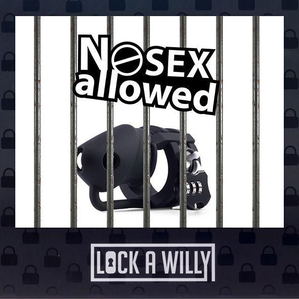 Lock-A-Willy zdjęcie 4