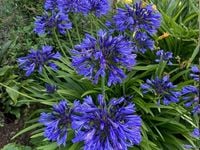 product-compare-63335356