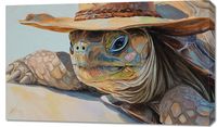 Obraz 100x60cm Żółwi Kapelusznik
